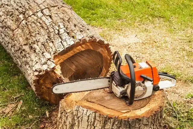 Tree removal and stump removal in burnie